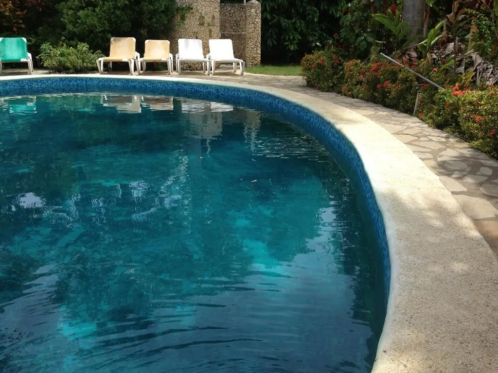 Secret Garden Lejlighed Cabarete Den Dominikanske Republik